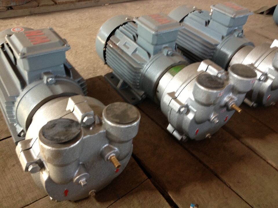 2BVF 2070 水環(huán)真空泵